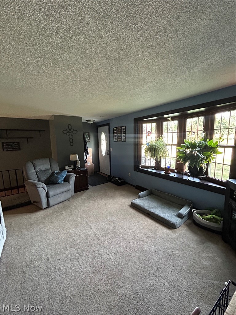 6641 Hillfield Street NW North Canton OH 44720