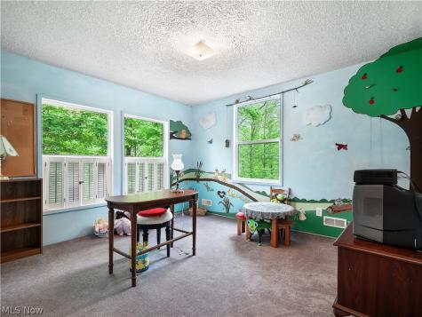 7120 Firestone Road Spencer OH 44275