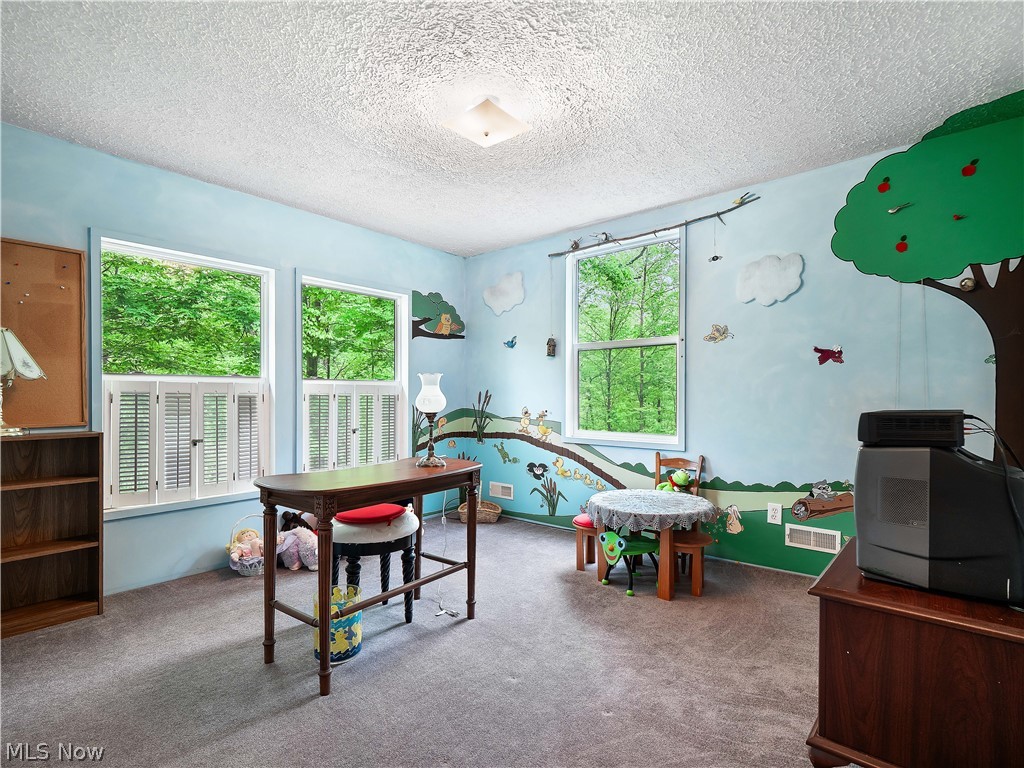 7120 Firestone Road Spencer OH 44275