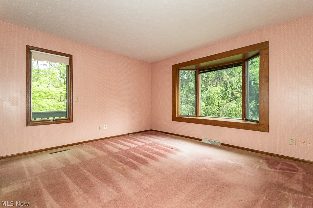 11530 Blackberry Lane Chesterland OH 44026