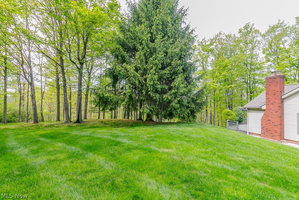 11530 Blackberry Lane Chesterland OH 44026