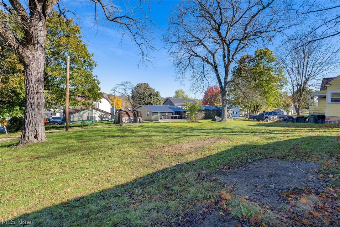252 2nd Street Bergholz OH 43908