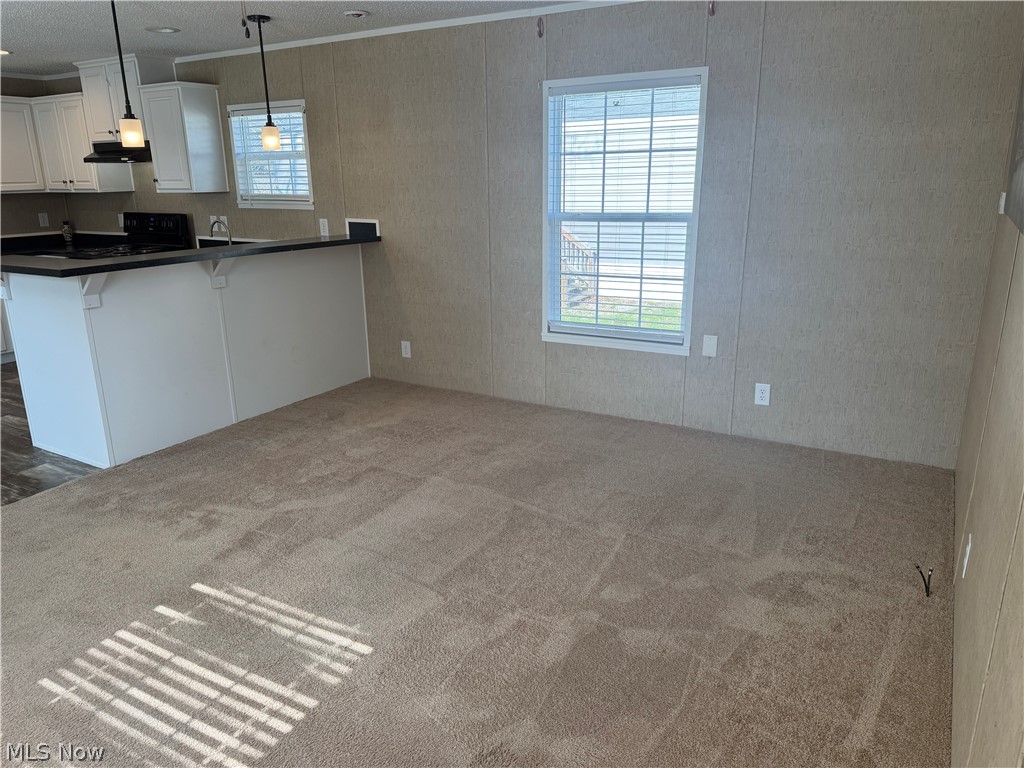 202 W Main Street Conneaut OH 44030