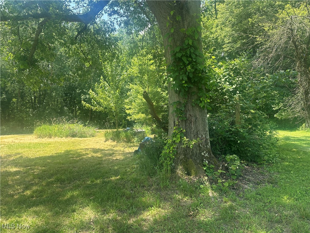 9540 Root Road Columbia Station OH 44028