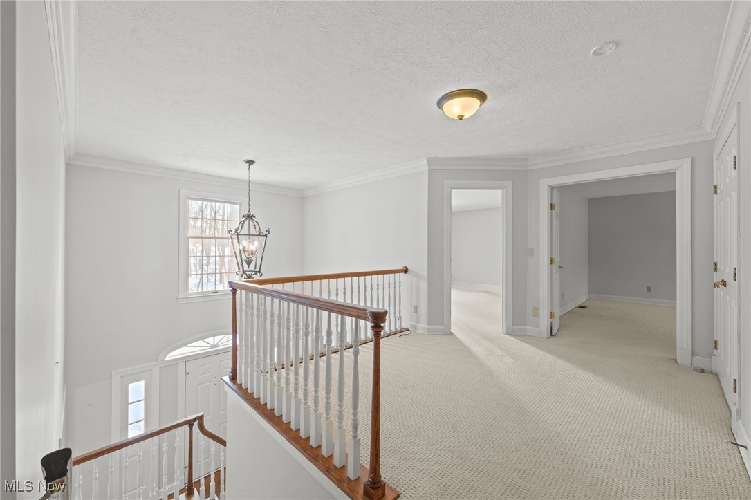 7431 River Oaks Trail Gates Mills OH 44040