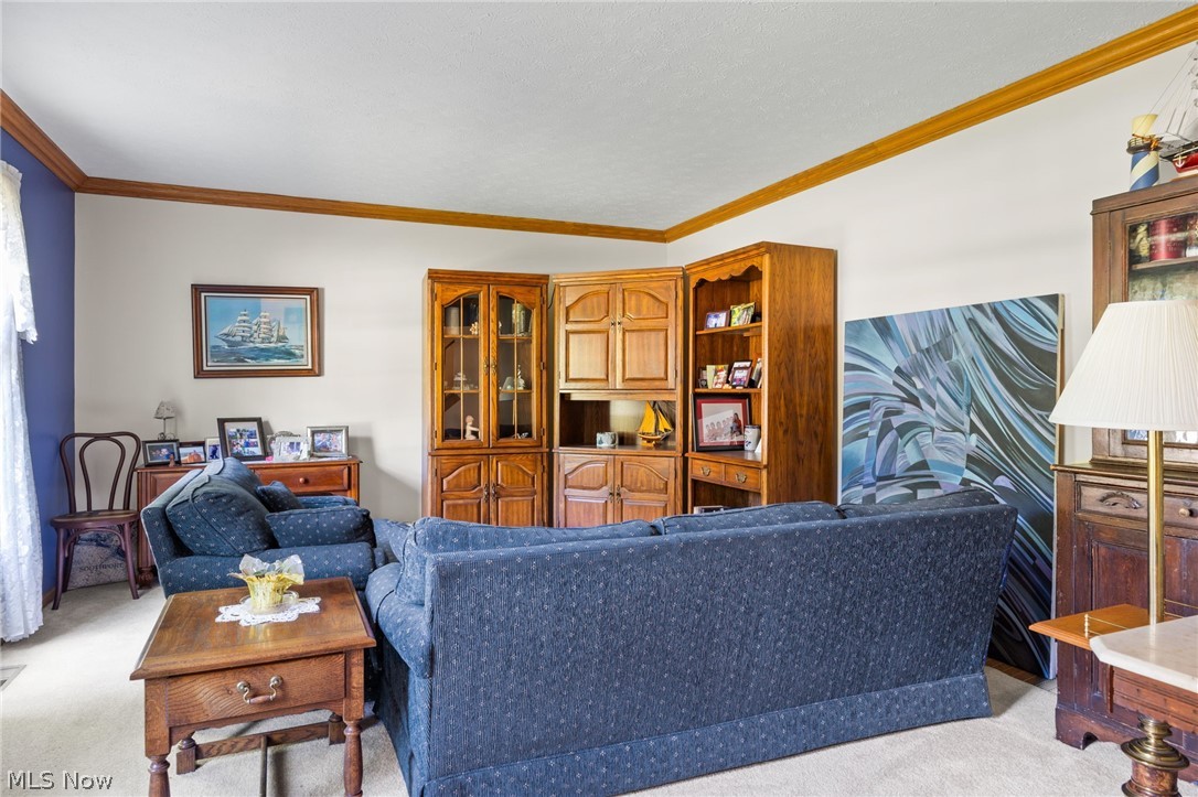299 Great Oaks Trail Wadsworth OH 44281