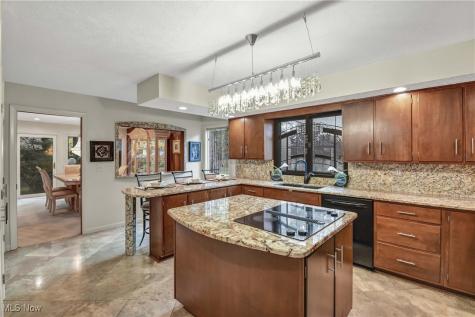 31105 Roxbury Park Drive Bay Village OH 44140