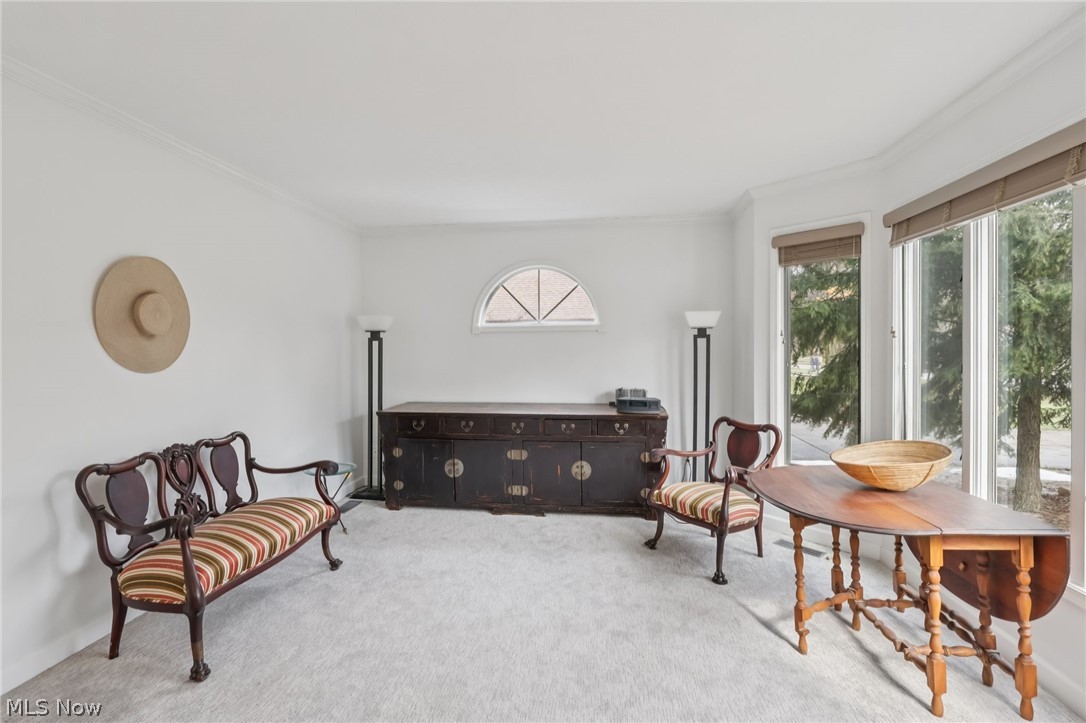 2340 Brigadoon Court Westlake OH 44145