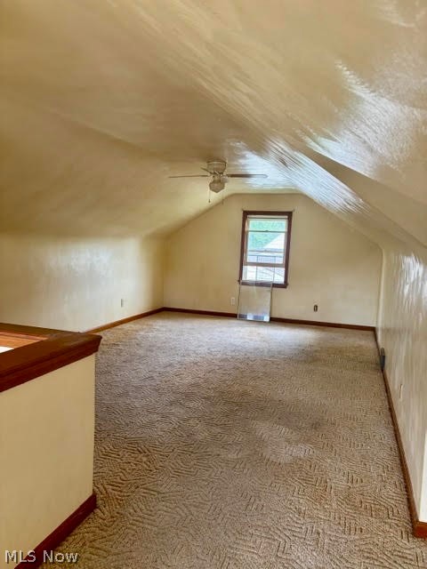118 Camvet Drive Campbell OH 44405