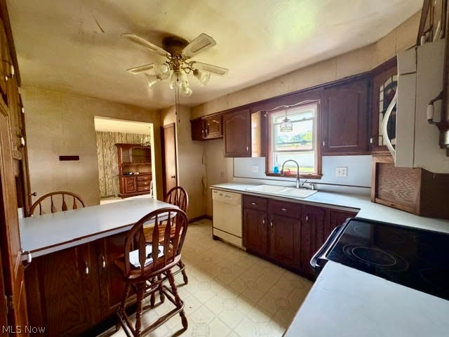 118 Camvet Drive Campbell OH 44405