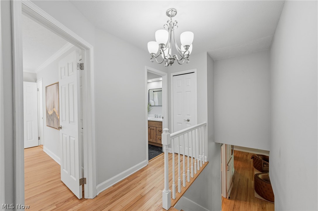 8662 Tanglewood Trail Chagrin Falls OH 44023