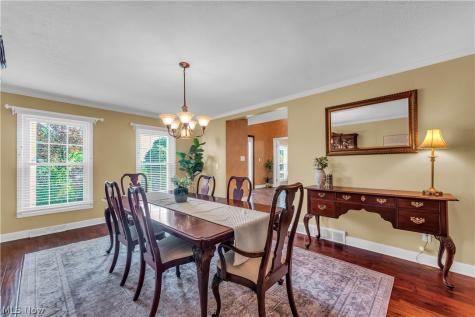 3886 Boxelder Drive Brecksville OH 44141