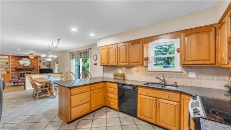 3886 Boxelder Drive Brecksville OH 44141