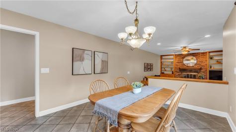 3886 Boxelder Drive Brecksville OH 44141