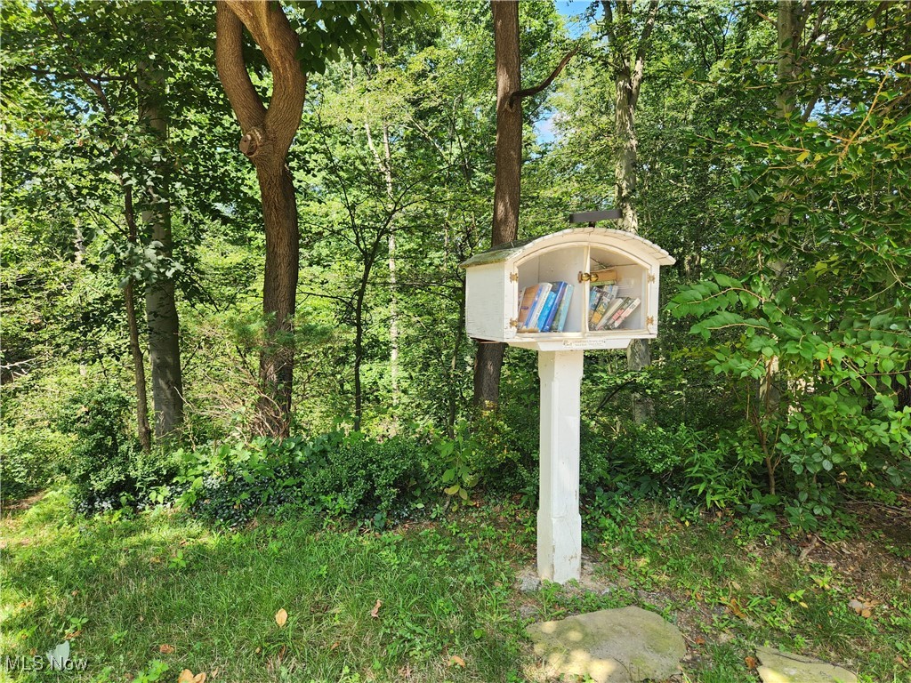 856 Lafayette Drive Akron OH 44303