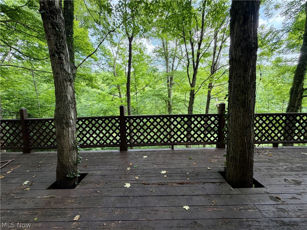 7248 Hollow Street SW Carrollton OH 44615