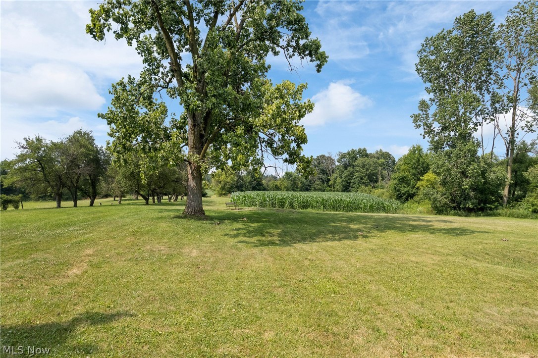 7999 Wadsworth Road Wadsworth OH 44281