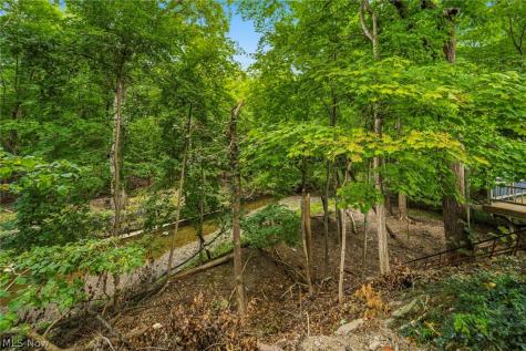 4541 Emerson Road South Euclid OH 44121