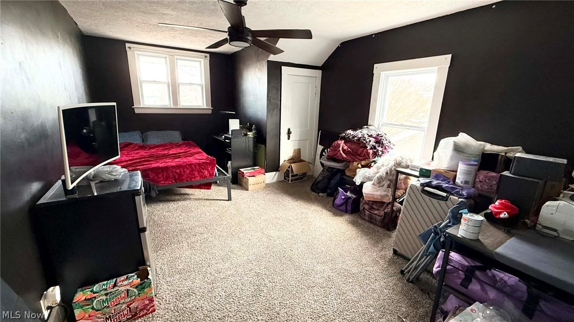 4211 Birchwood Avenue Ashtabula OH 44004
