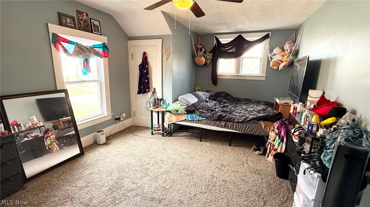 4211 Birchwood Avenue Ashtabula OH 44004