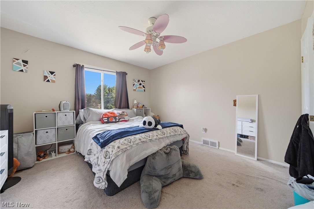 1038 Hampton Drive Macedonia OH 44056