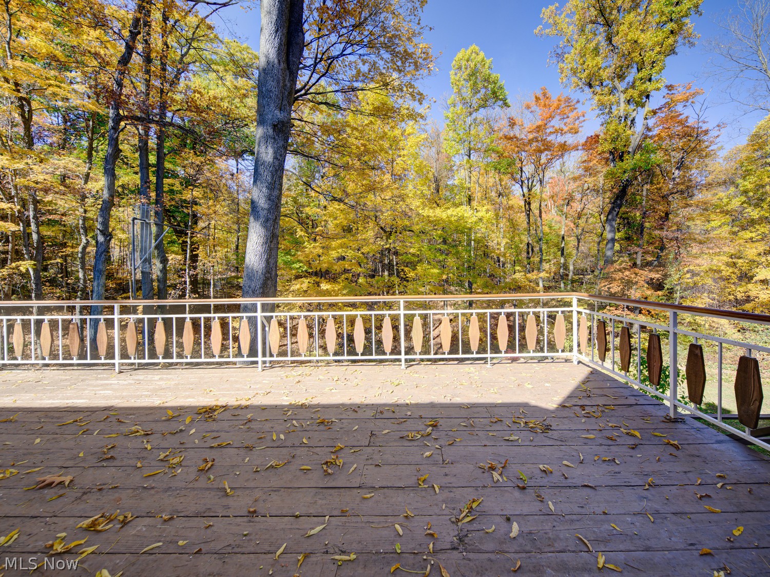 11382 Willow Hill Drive Chesterland OH 44026
