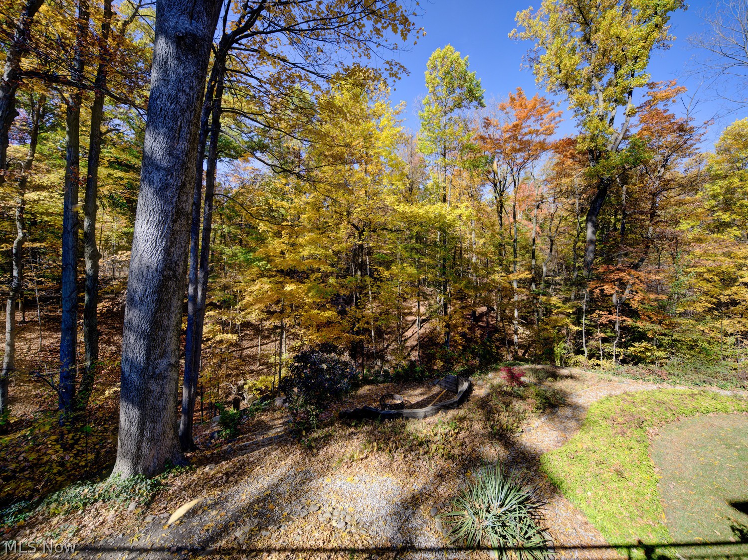 11382 Willow Hill Drive Chesterland OH 44026