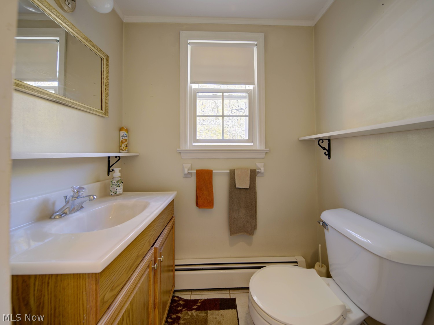 11382 Willow Hill Drive Chesterland OH 44026
