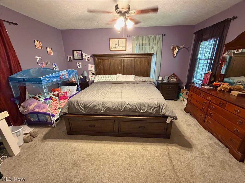 151 Pine Street Leetonia OH 44431