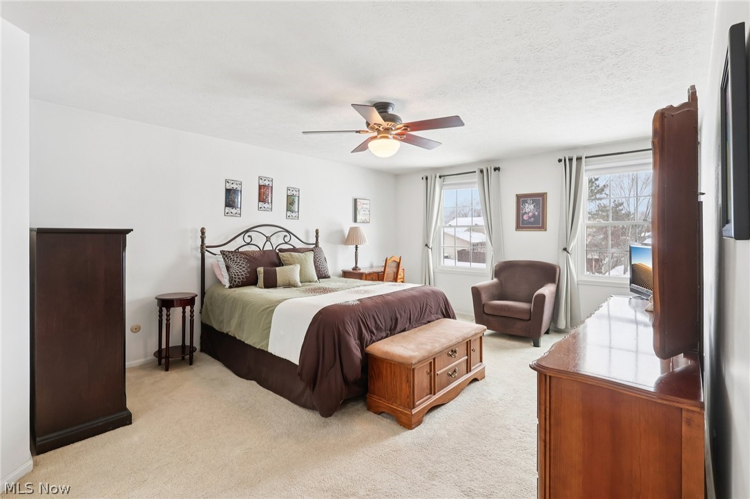 17163 Golden Star Drive Strongsville OH 44136