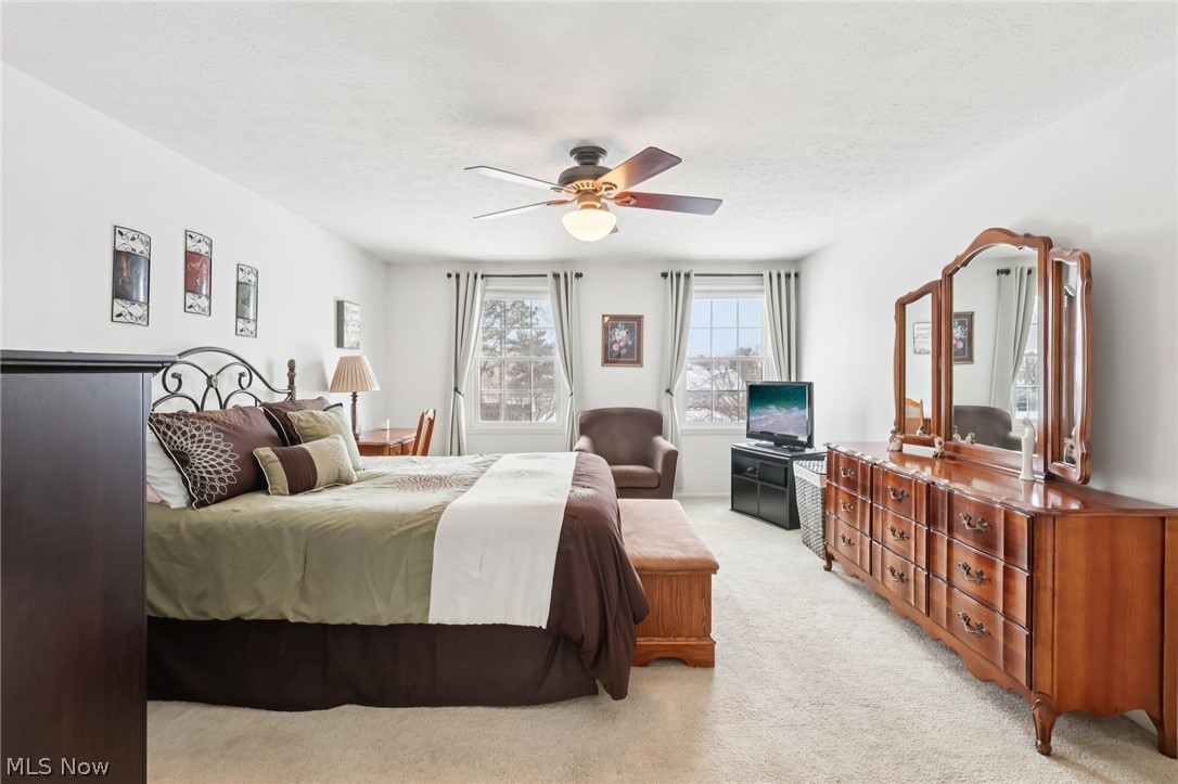 17163 Golden Star Drive Strongsville OH 44136