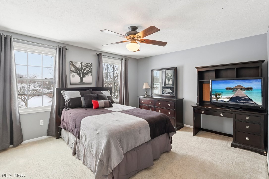 17163 Golden Star Drive Strongsville OH 44136