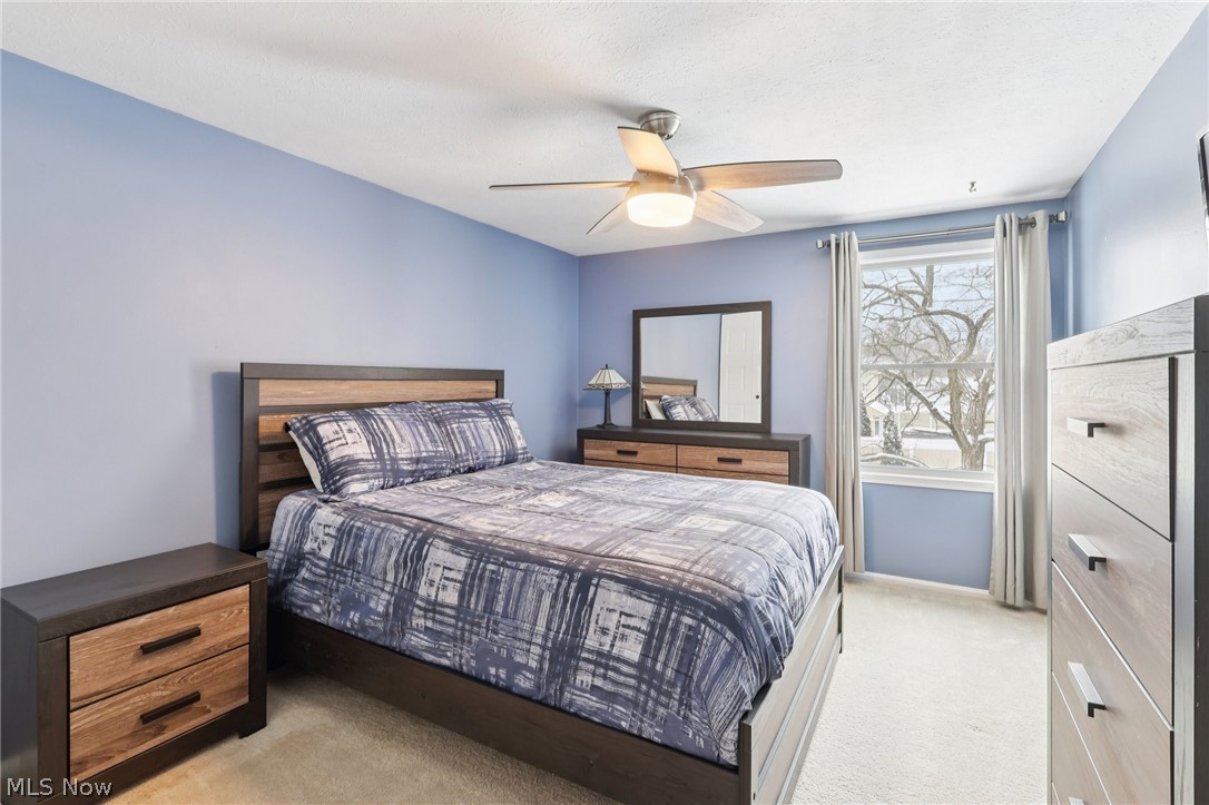 17163 Golden Star Drive Strongsville OH 44136