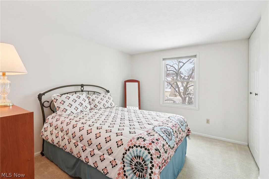 17163 Golden Star Drive Strongsville OH 44136