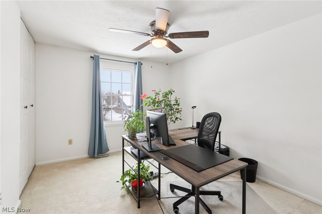 17163 Golden Star Drive Strongsville OH 44136