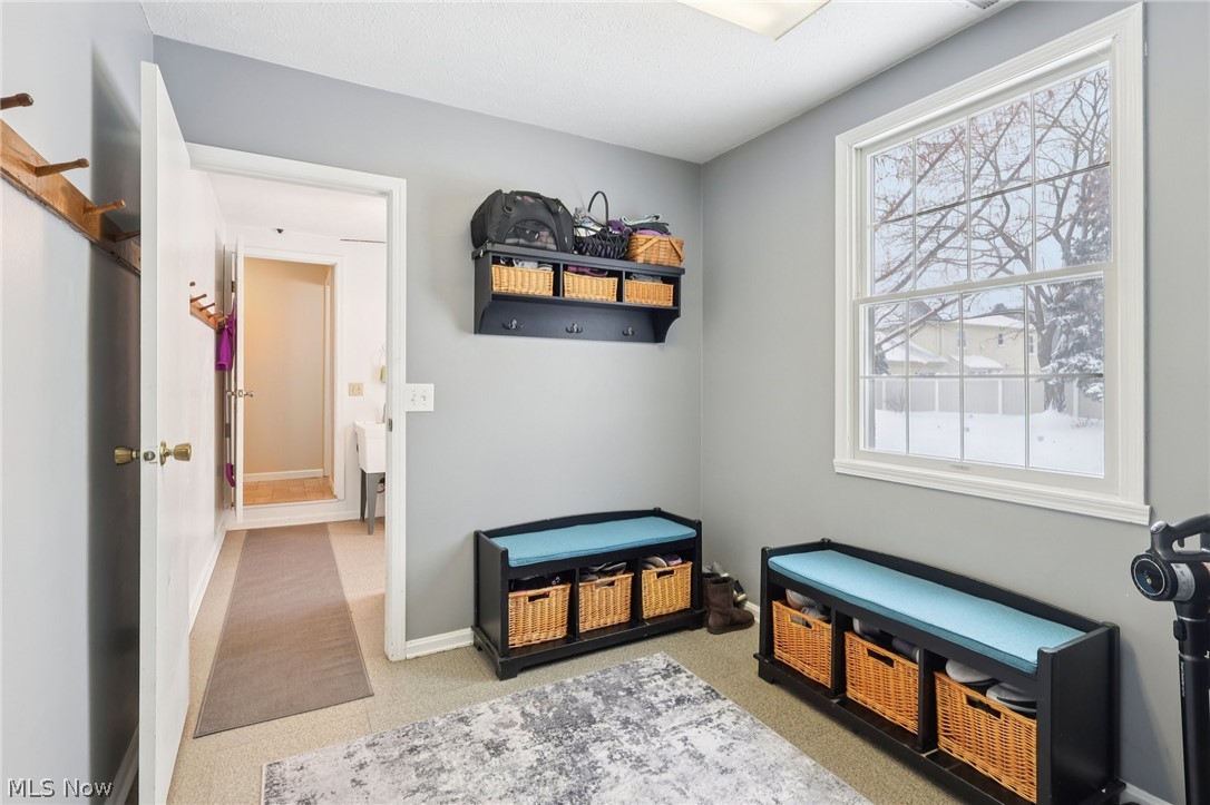 17163 Golden Star Drive Strongsville OH 44136