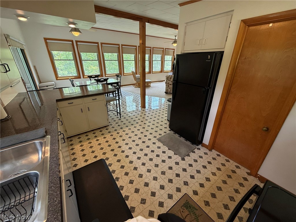 9073 N Shore Drive NE Mineral City OH 44656