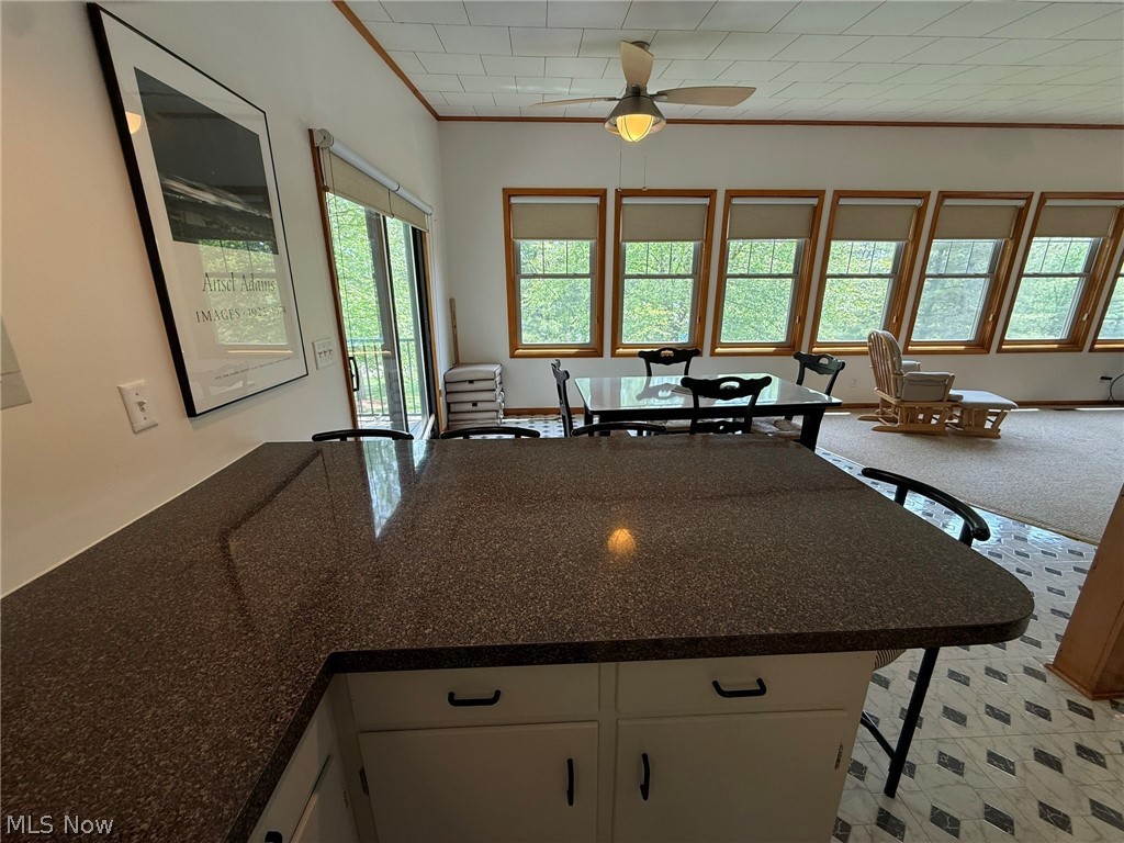 9073 N Shore Drive NE Mineral City OH 44656
