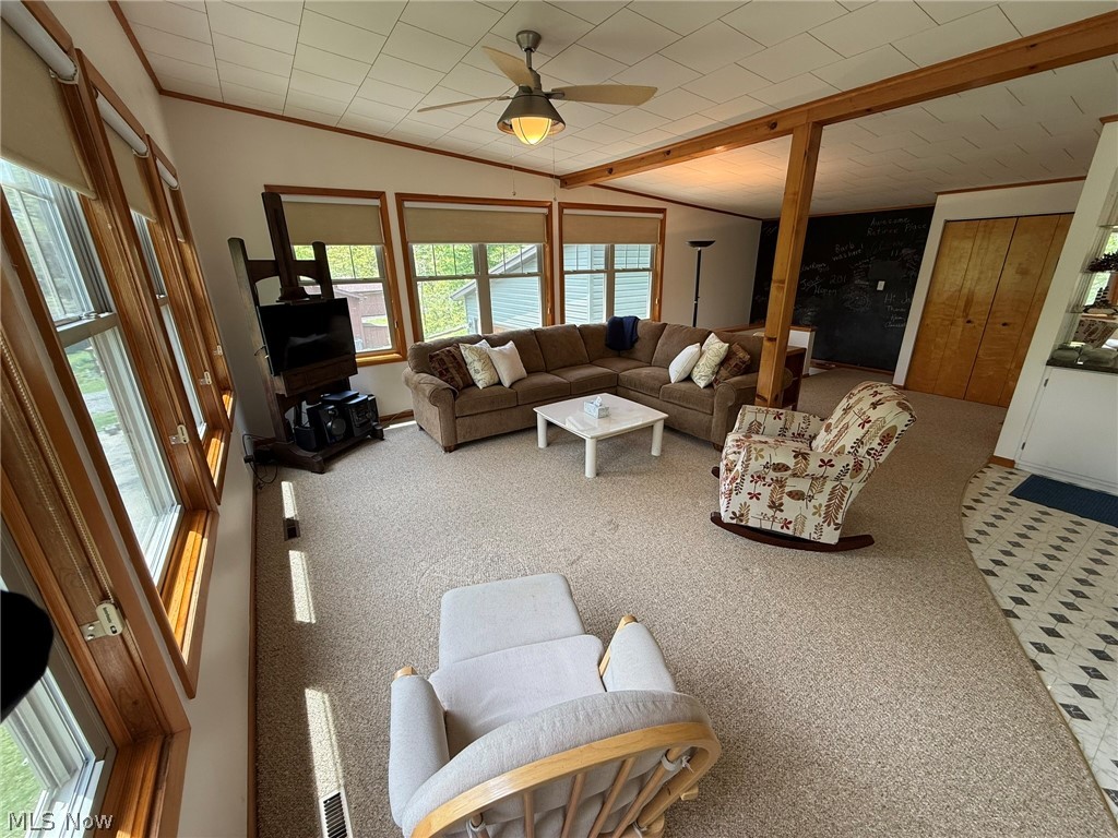 9073 N Shore Drive NE Mineral City OH 44656