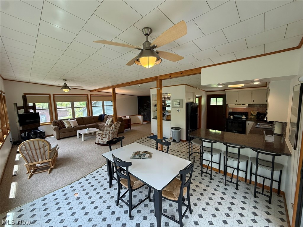 9073 N Shore Drive NE Mineral City OH 44656