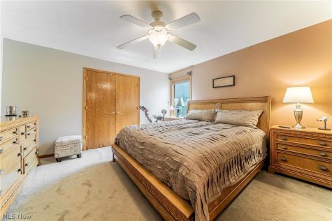 395 White Spruce Drive Macedonia OH 44056