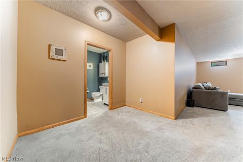 395 White Spruce Drive Macedonia OH 44056