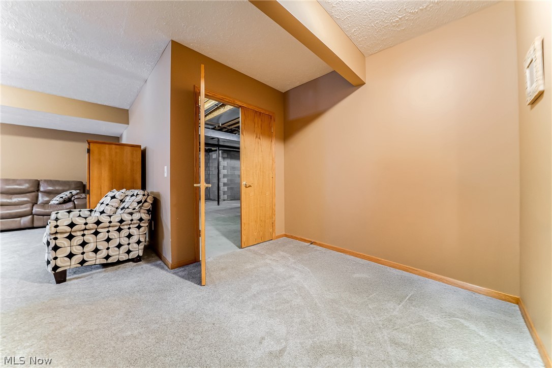 395 White Spruce Drive Macedonia OH 44056
