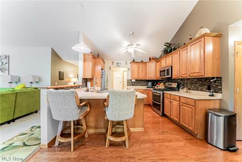395 White Spruce Drive Macedonia OH 44056