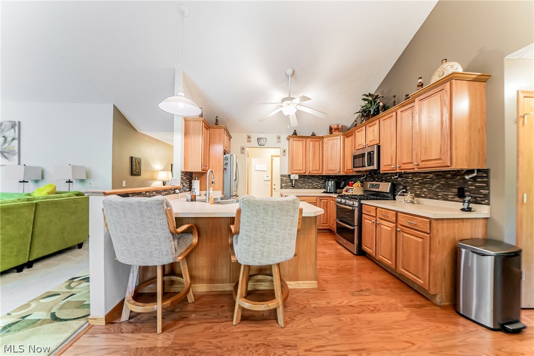 395 White Spruce Drive Macedonia OH 44056