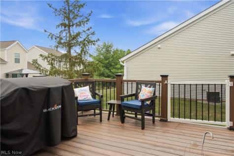 8585 Mandell Drive Macedonia OH 44056