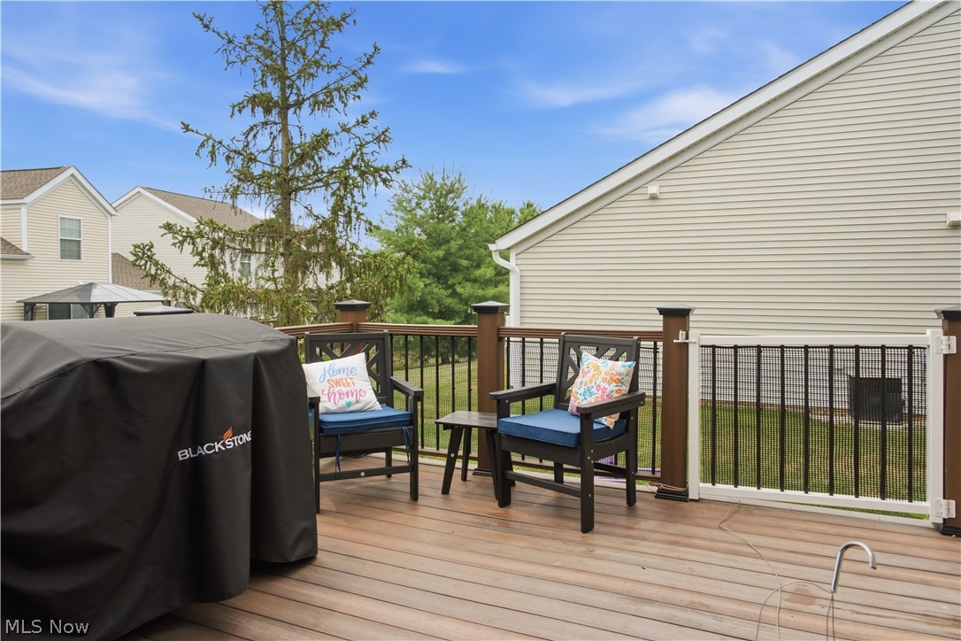 8585 Mandell Drive Macedonia OH 44056