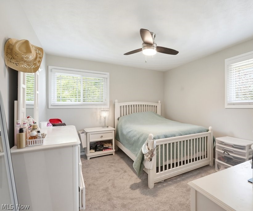 729 Crestwood Avenue Wadsworth OH 44281