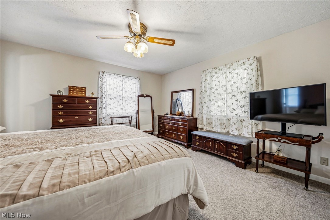 1960 Dadeyville Road Austinburg OH 44010