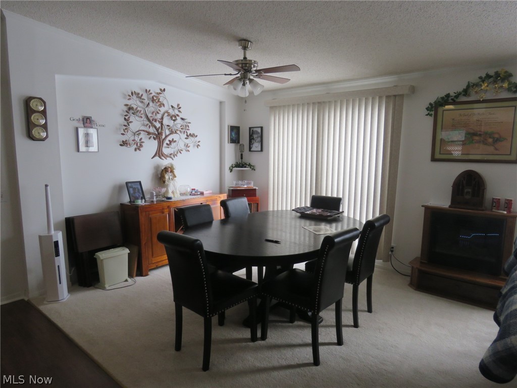 247 Island Drive Elyria OH 44035